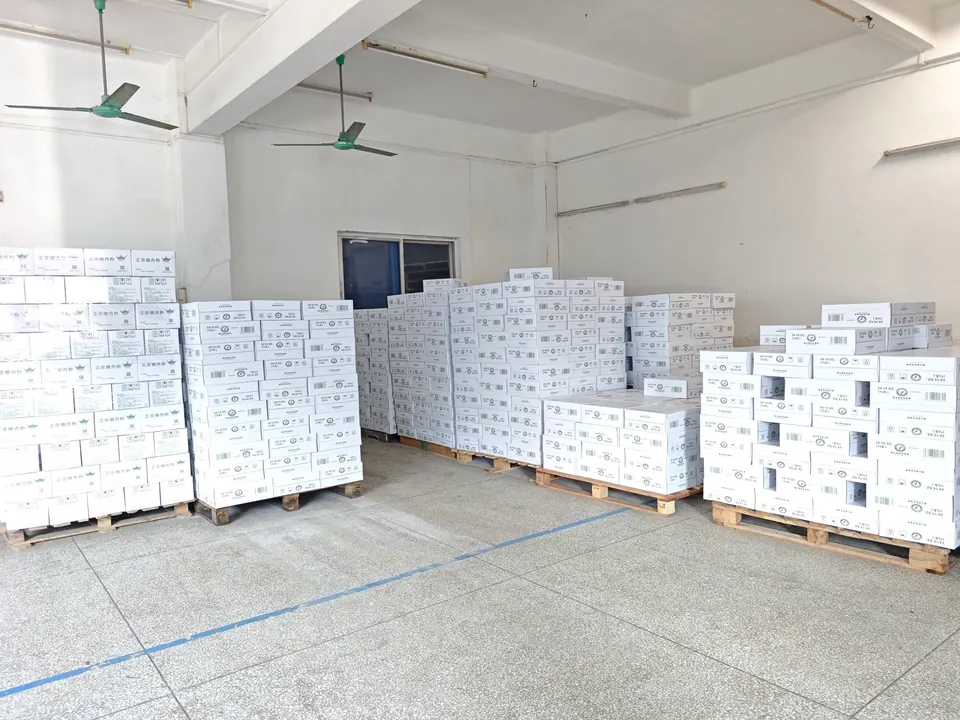 Fusanhe Warehouse
