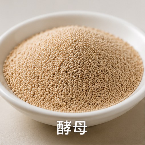 酵母